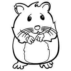 Dwarf Hamster Coloring Pages at GetColorings.com | Free printable ...