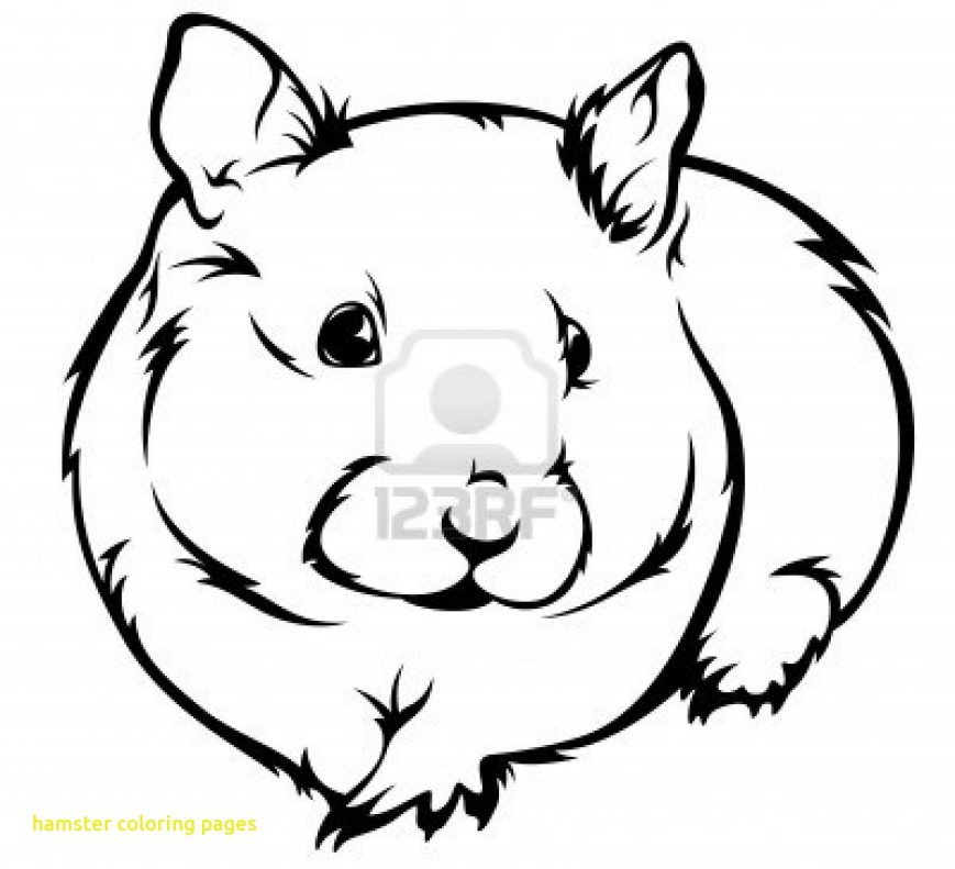 Coloring Pages Hamster Images High Hamsters Free Humphrey Cute 869x791 Coloring Pages Hamster Images High Hamsters Free Humphrey Cute