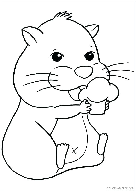 Hamster Coloring Pages 567x794 Hamster Coloring Pages