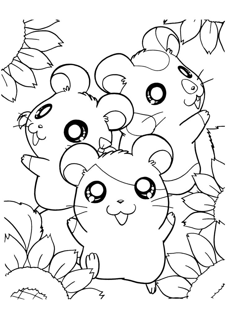 Drawn Hamster Colouring Page 736x1042 Drawn Hamster Colouring Page