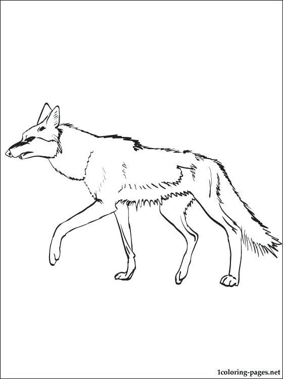 Coyote Coloring Pages Coyote Coloring Page For Free Wylie Coyote 560x750 Coyote Coloring Pages Coyote Coloring Page For Free Wylie Coyote