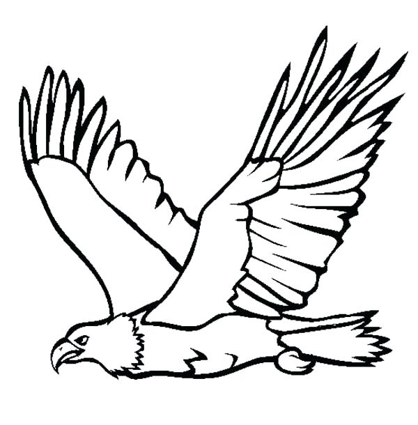 Eagle Color Page Trend Eagle Color Page In Coloring Pages To Print 600x610 Eagle Color Page Trend Eagle Color Page In Coloring Pages To Print
