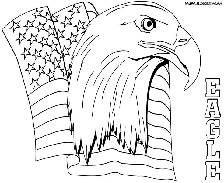 51 Best Eagle Coloring Pages Images On Adult Coloring 736x604 51 Best Eagle Coloring Pages Images On Adult Coloring