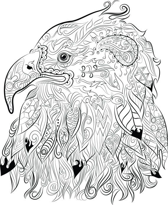 Eagles Coloring Pages 33 Best Chandraws Mind Escape Images 570x694 Eagles Coloring Pages 33 Best Chandraws Mind Escape Images