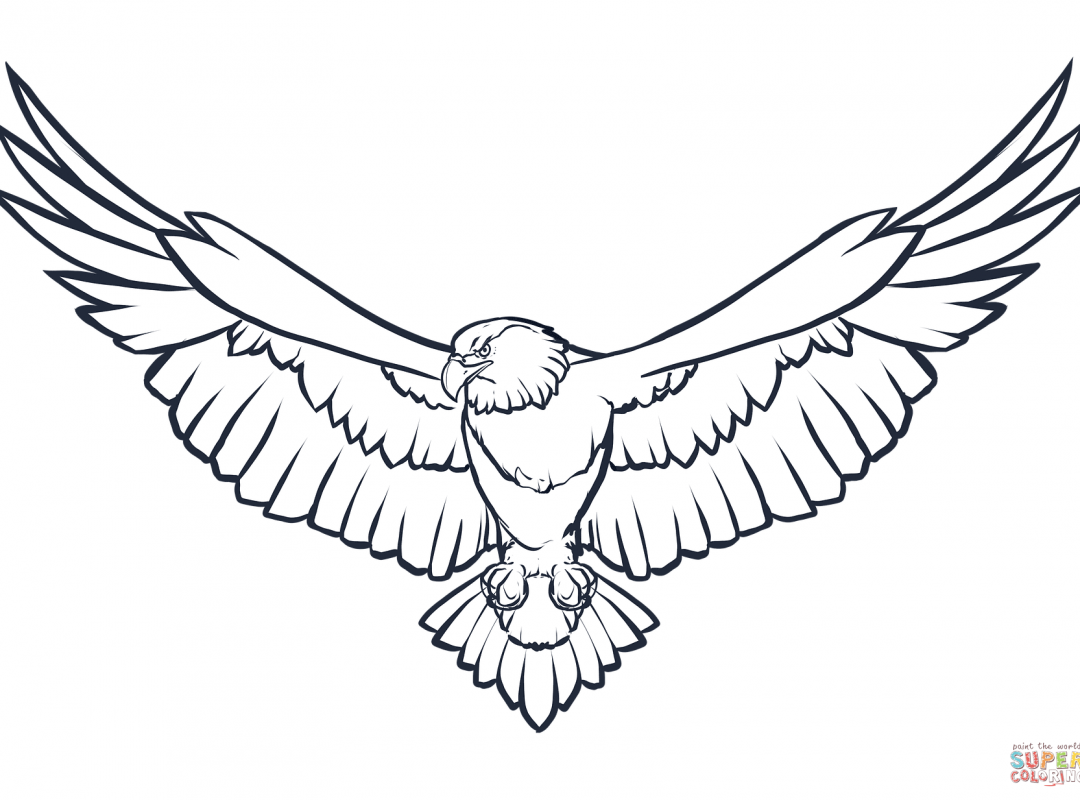 Free Eagle Head Coloring Page Realistic Printable Animals Mandala 1080x800 Free Eagle Head Coloring Page Realistic Printable Animals Mandala