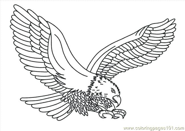 Coloring Pages Eagle Eagle Printable Coloring Pages Best Eagle 650x461 Coloring Pages Eagle Eagle Printable Coloring Pages Best Eagle
