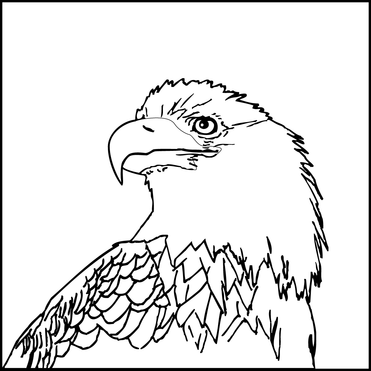 Eagle Printable Coloring Pages With Usa Flag Birds Bald Animals 1200x1200 Eagle Printable Coloring Pages With Usa Flag Birds Bald Animals