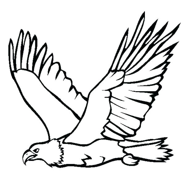 Philadelphia Eagles Coloring Pages Eagles Coloring Pages Eagles 600x610 Philadelphia Eagles Coloring Pages Eagles Coloring Pages Eagles
