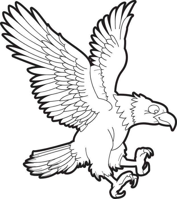 Bald Eagle Coloring Page Bald Eagle And Free Printable 622x700 Bald Eagle Coloring Page Bald Eagle And Free Printable