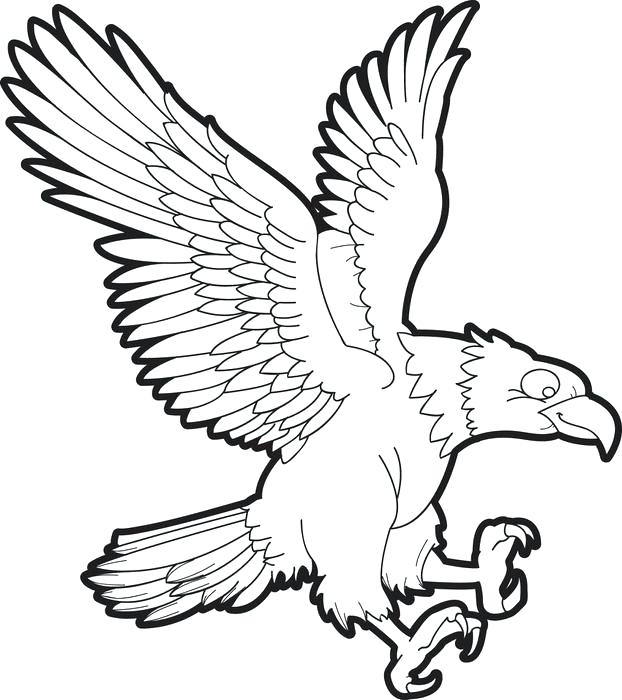 Eagle Coloring Pages Great Flying Bald Eagle Coloring Page Golden 622x700 Eagle Coloring Pages Great Flying Bald Eagle Coloring Page Golden
