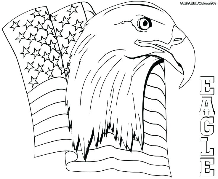 Harpy Eagle Coloring Page Harpy Eagle Coloring Page Bald Eagle 736x604 Harpy Eagle Coloring Page Harpy Eagle Coloring Page Bald Eagle