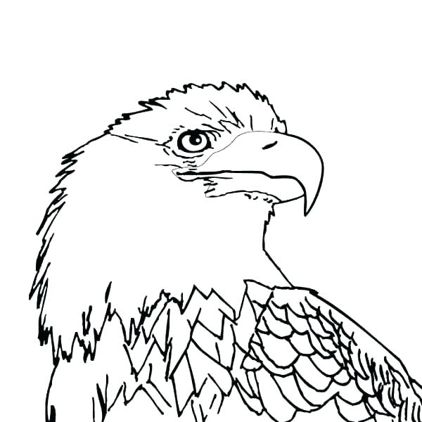 Philadelphia Eagles Coloring Pages Eagles Coloring Pages Coloring 600x600 Philadelphia Eagles Coloring Pages Eagles Coloring Pages Coloring