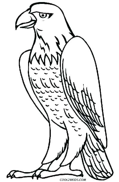 Philadelphia Eagles Coloring Pages Printable Eagle Page For Kids 398x610 Philadelphia Eagles Coloring Pages Printable Eagle Page For Kids
