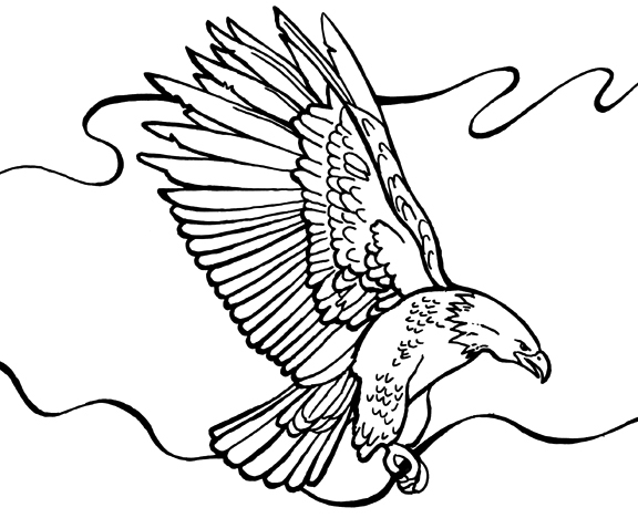 Bald Eagle Coloring Page 576x468 Bald Eagle Coloring Page