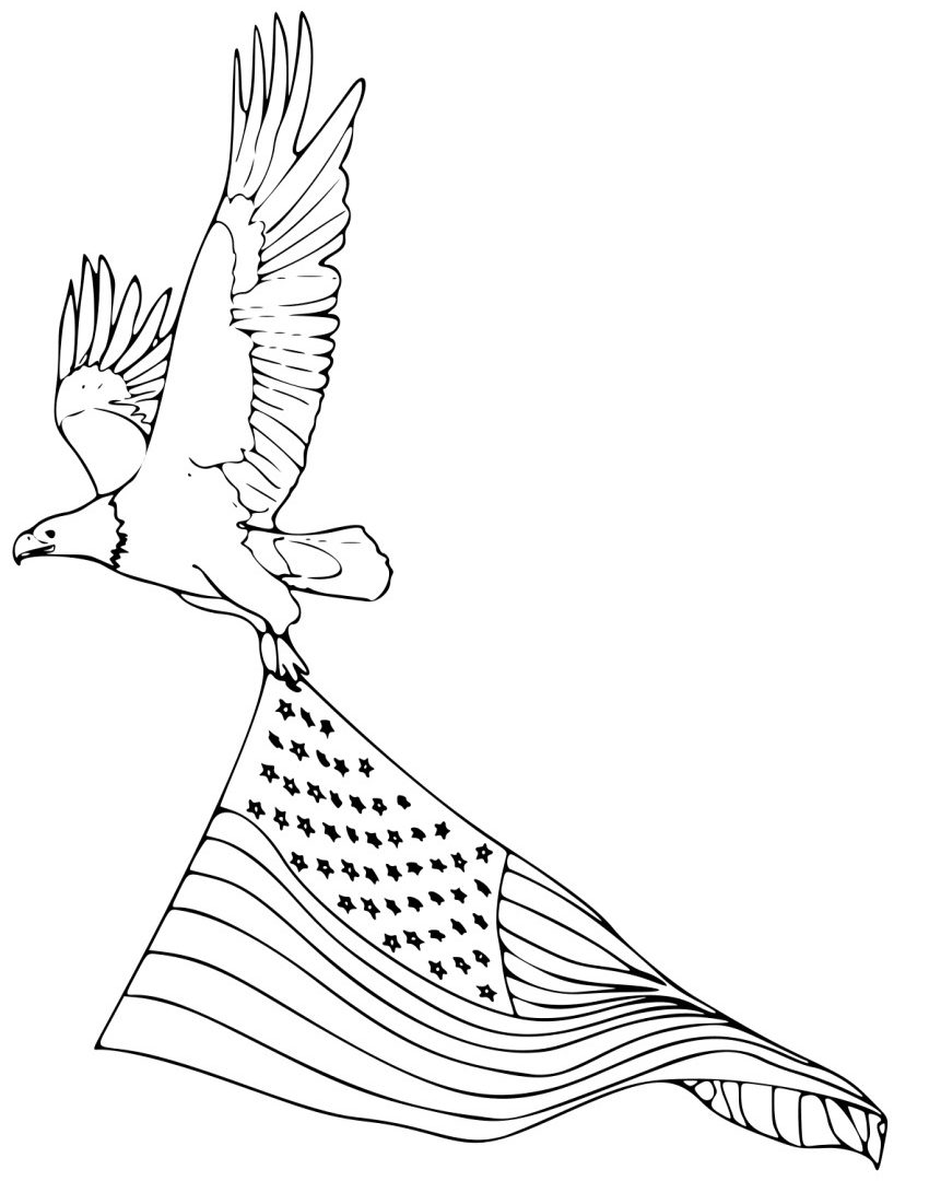 Coloring Pages For Kids Birds Bald Eagle Printable Animals Free 850x1080 Coloring Pages For Kids Birds Bald Eagle Printable Animals Free