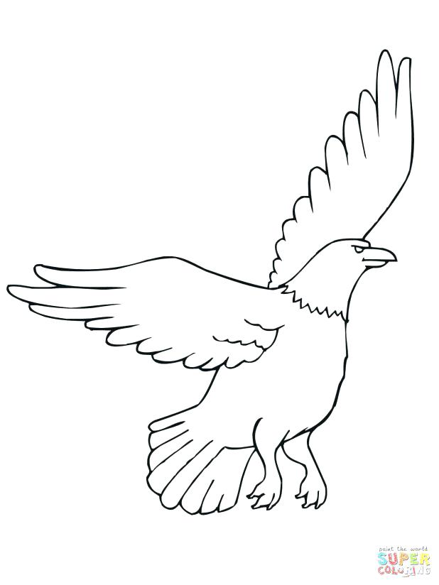 618x824 Eagle Pictures To Color Click The Eagle Coloring Pages Marvellous