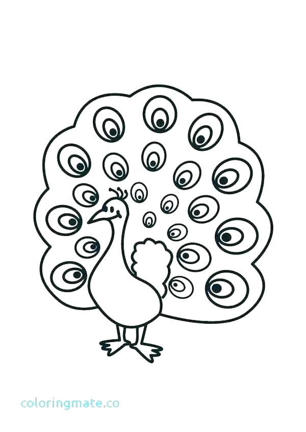 600x847 Feather Coloring Turkey Feather Template Free Printable Kids