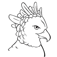 Eagle Flying Coloring Pages