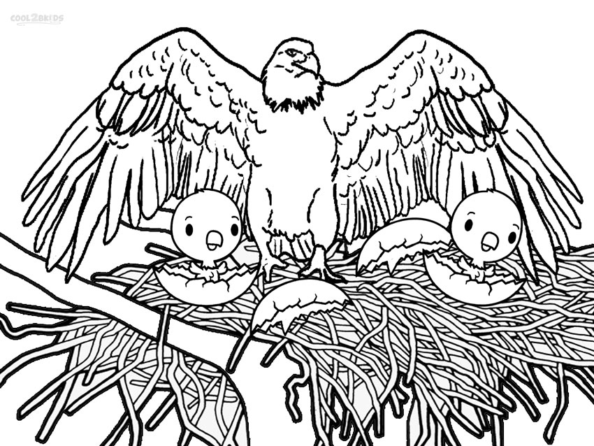 Coloring Pages Of Eagles Wonderful Eagles Coloring Pages 56 850x638 Coloring Pages Of Eagles Wonderful Eagles Coloring Pages 56