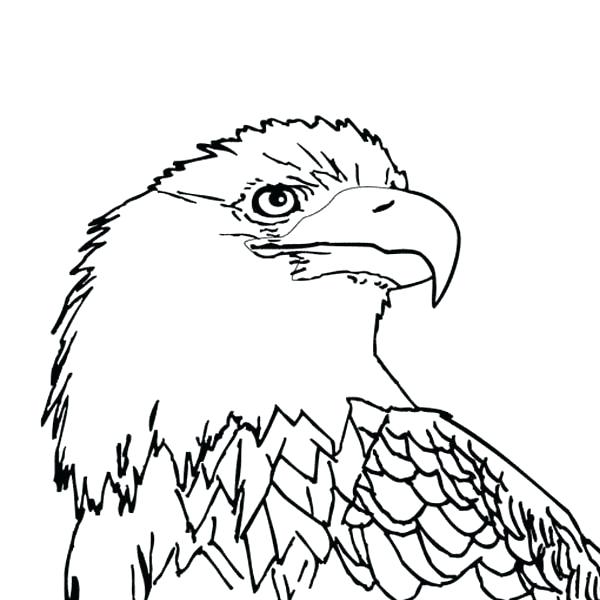 Eagle Coloring Pages Coloring Pages Football Coloring Pages 600x600 Eagle Coloring Pages Coloring Pages Football Coloring Pages