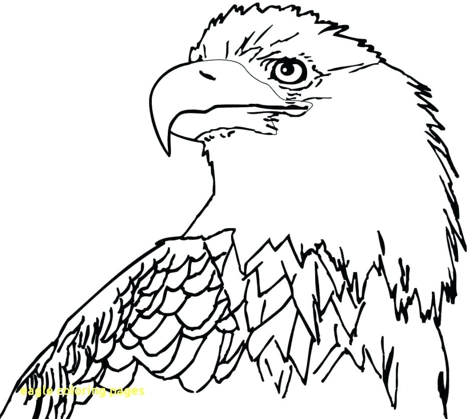 Eagles Coloring Pages Cortefocalsite Eagles Coloring Pages Bald 940x836 Eagles Coloring Pages Cortefocalsite Eagles Coloring Pages Bald