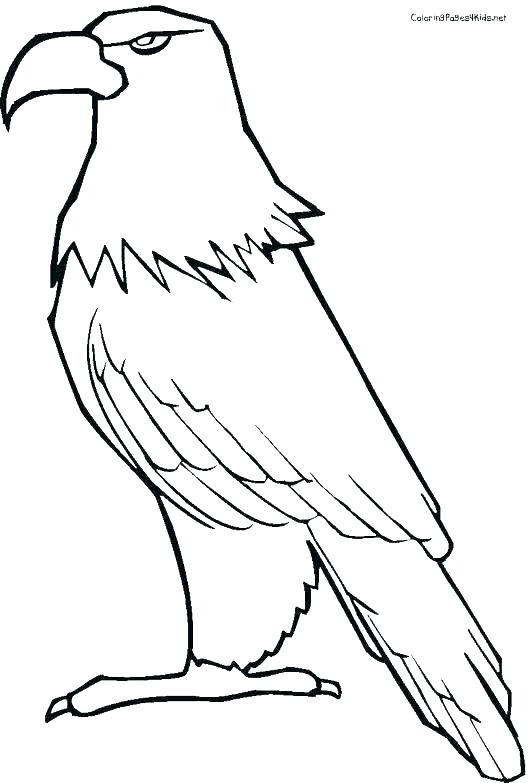 Coloring Pages Of Eagles Eagles Coloring Pages Bald Eagle Coloring 530x783 Coloring Pages Of Eagles Eagles Coloring Pages Bald Eagle Coloring