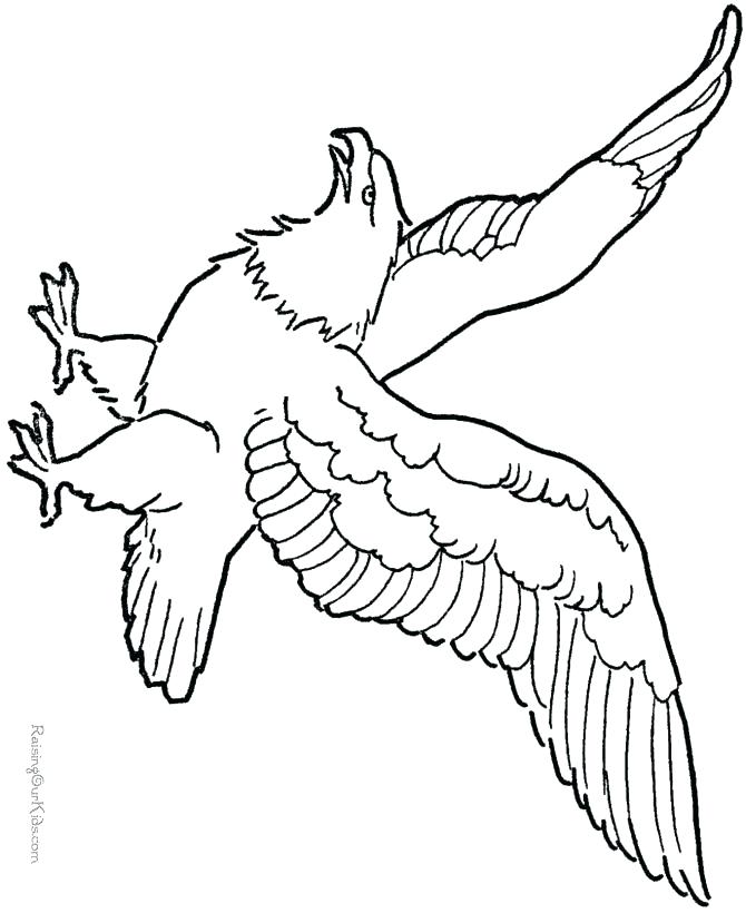 Eagle Coloring Page For Kids Eagles Coloring Pages Pin Bald Eagle 670x820 Eagle Coloring Page For Kids Eagles Coloring Pages Pin Bald Eagle