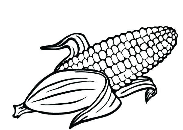 600x427 Ear Coloring Page Coloring Pages Corn Ear Of Corn Coloring Page