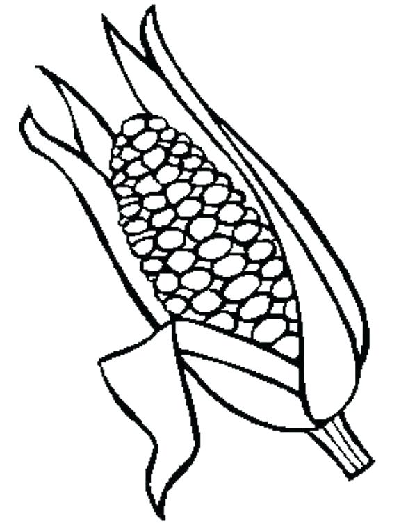 600x752 Ear Coloring Page Tasty Corn Ear Coloring Page Floppy Ear Bunny