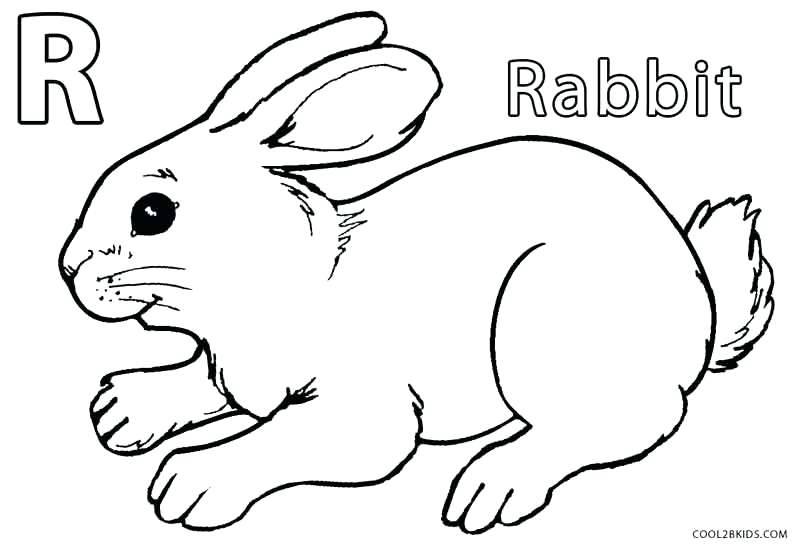 800x548 Coloring Page Bunny Ears