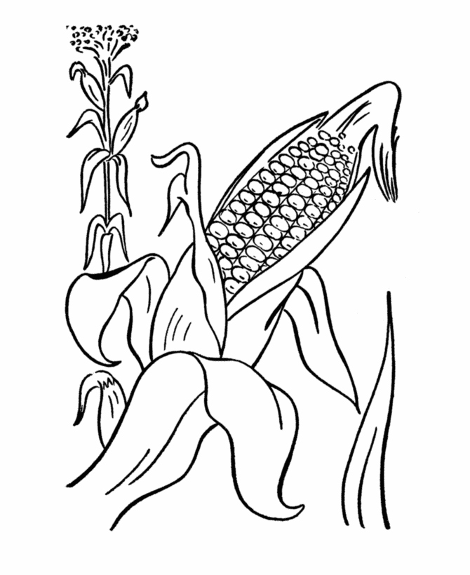 670x820 Corn Coloring Pages Inspirational Ear Corn Coloring Page Coloring