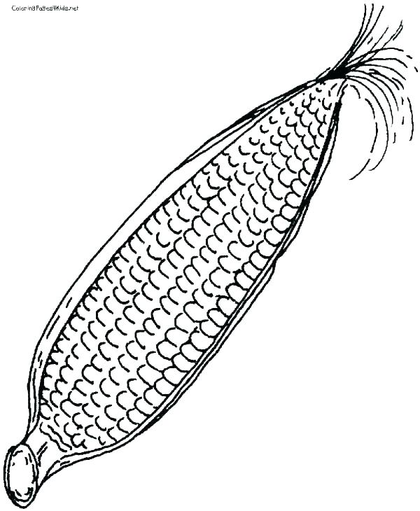 Ear Of Corn Coloring Page at GetColorings.com | Free printable ...