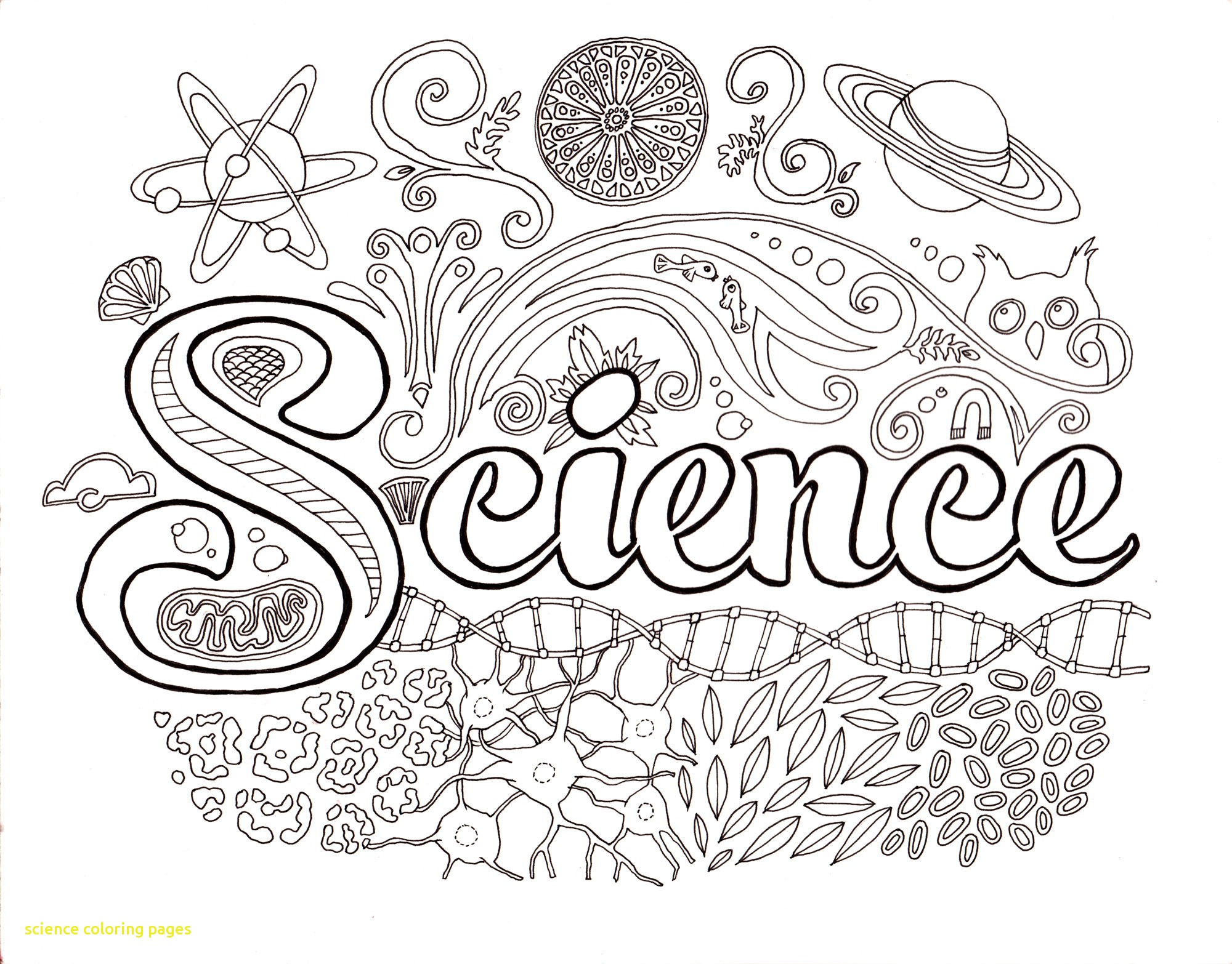 Coloring Pages For Earth Science New Science Coloring Pages 2000x1566 Coloring Pages For Earth Science New Science Coloring Pages