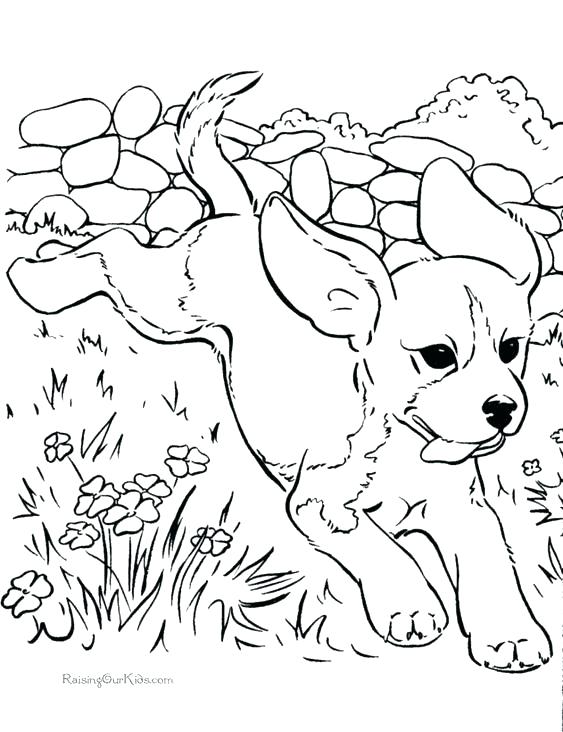 Beagle Coloring Pages Dog Cartoon For Coloring Book Royalty Free 563x732 Beagle Coloring Pages Dog Cartoon For Coloring Book Royalty Free