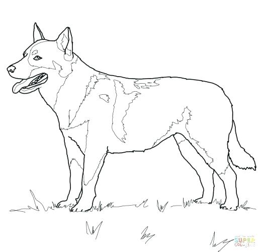 Beagle Coloring Pages Pound Puppies Coloring Pages Beagle Coloring 517x500 Beagle Coloring Pages Pound Puppies Coloring Pages Beagle Coloring