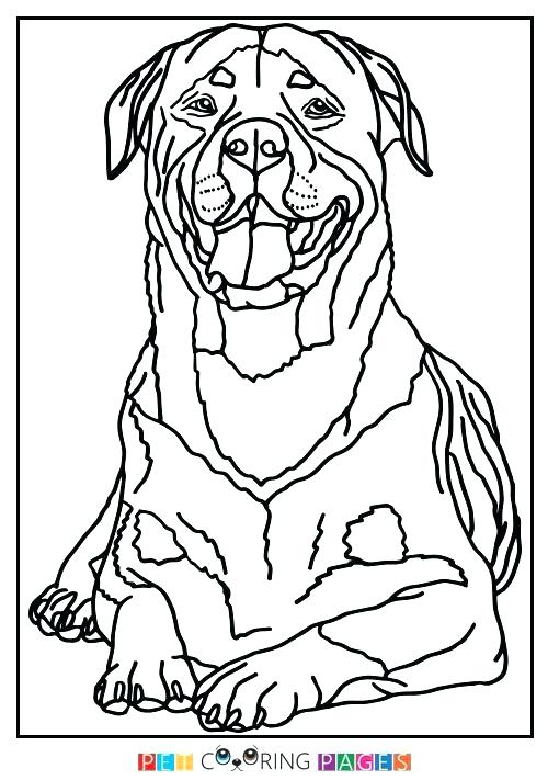 Beagle Coloring Pages Rottweiler Animal Coloring Pages Beagle 500x711 Beagle Coloring Pages Rottweiler Animal Coloring Pages Beagle