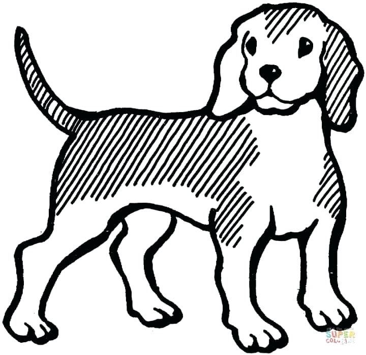 Beagle Coloring Pages Beagle Free Printable Beagle Coloring Pages 720x697 Beagle Coloring Pages Beagle Free Printable Beagle Coloring Pages