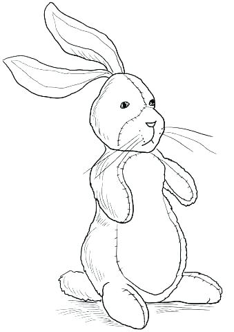 Bunny Rabbit Coloring Pages Rabbit Colouring Pages Bunny Rabbit 339x480 Bunny Rabbit Coloring Pages Rabbit Colouring Pages Bunny Rabbit