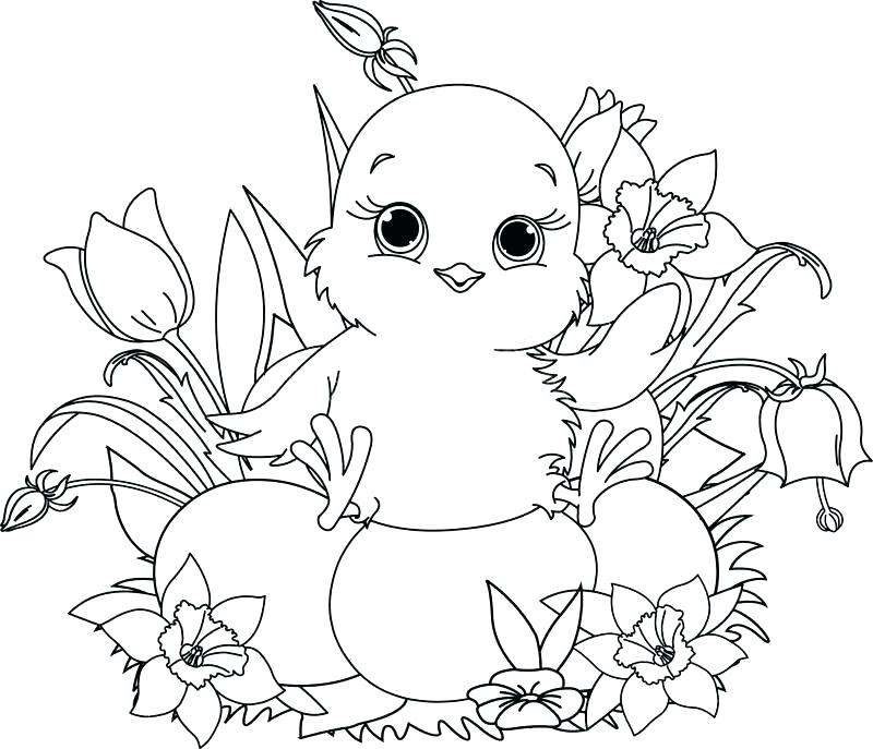 Easter Chicks Coloring Pages Amazing Chicks Coloring Pages 800x687 Easter Chicks Coloring Pages Amazing Chicks Coloring Pages