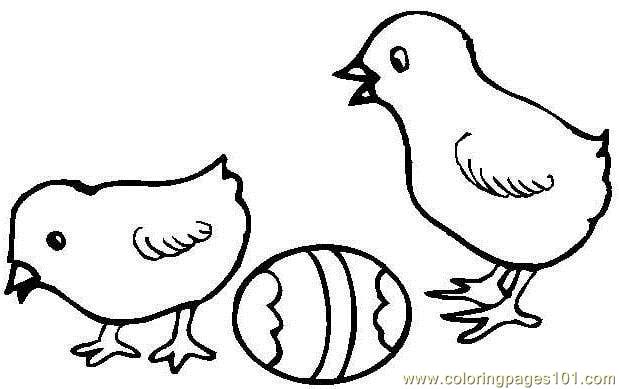 Easter Hen Chick Coloring Page 619x389 Easter Hen Chick Coloring Page
