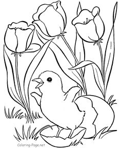 Coloring Pages Kids By Mr. Adron Easter Coloring Page 236x288 Coloring Pages Kids By Mr. Adron Easter Coloring Page