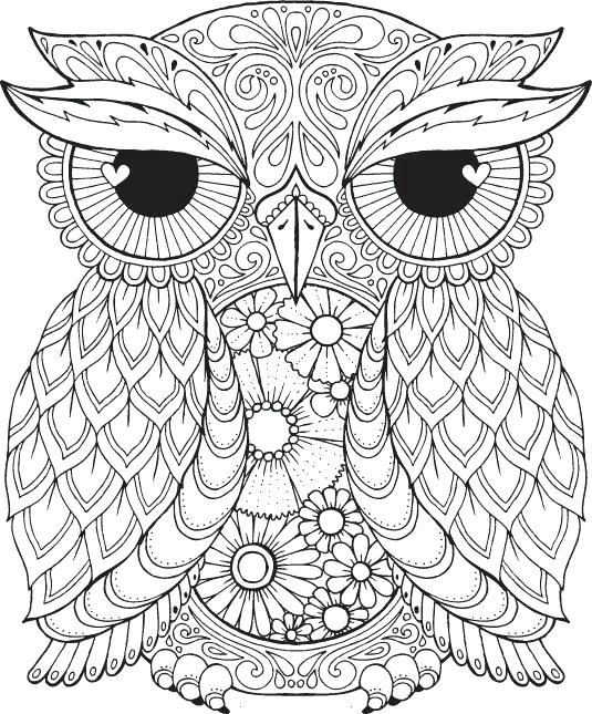 535x645 Pdf Coloring Pages Coloring Sheets Spectacular Adult Coloring Book