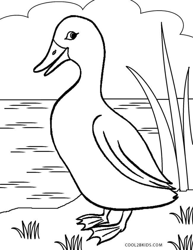 650x843 Printable Duck Coloring Pages For Kids Cool2bkids