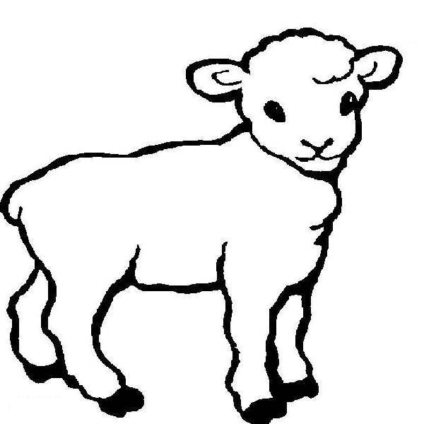 Lamb Coloring Pages Print Baby Shower Ideas Lambs 600x600 Lamb Coloring Pages Print Baby Shower Ideas Lambs