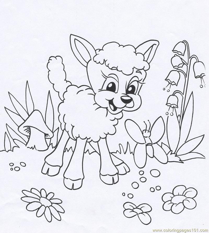 Lamb Animal Coloring Page 800x891 Lamb Animal Coloring Page