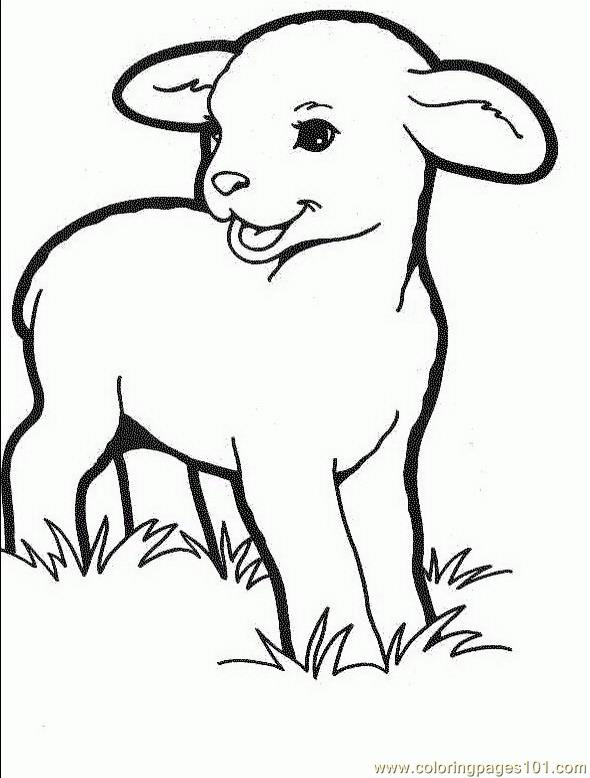 590x778 Lambs Son Coloring Page