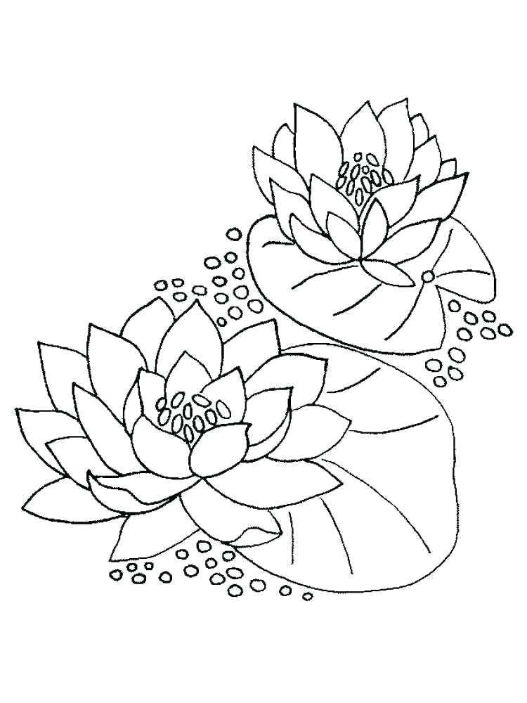 750x1000 Easter Lilies Coloring Page Lily Coloring Pages In Addition