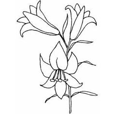 236x236 Easter Lilies Coloring Page Easter Easter, Adult