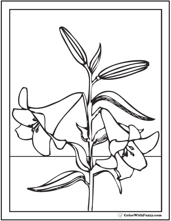 590x762 Lily Coloring Pages Customize Pdf Printables