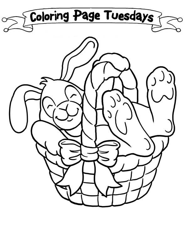 600x776 A Sleepy Bunny Inside The Easter Basket Coloring Page